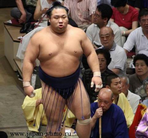 Озеки Тиетайкай. Ozeki Chiyotaikai.